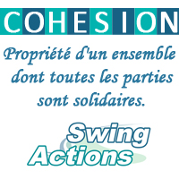fp_partner_cohesion_swingactions